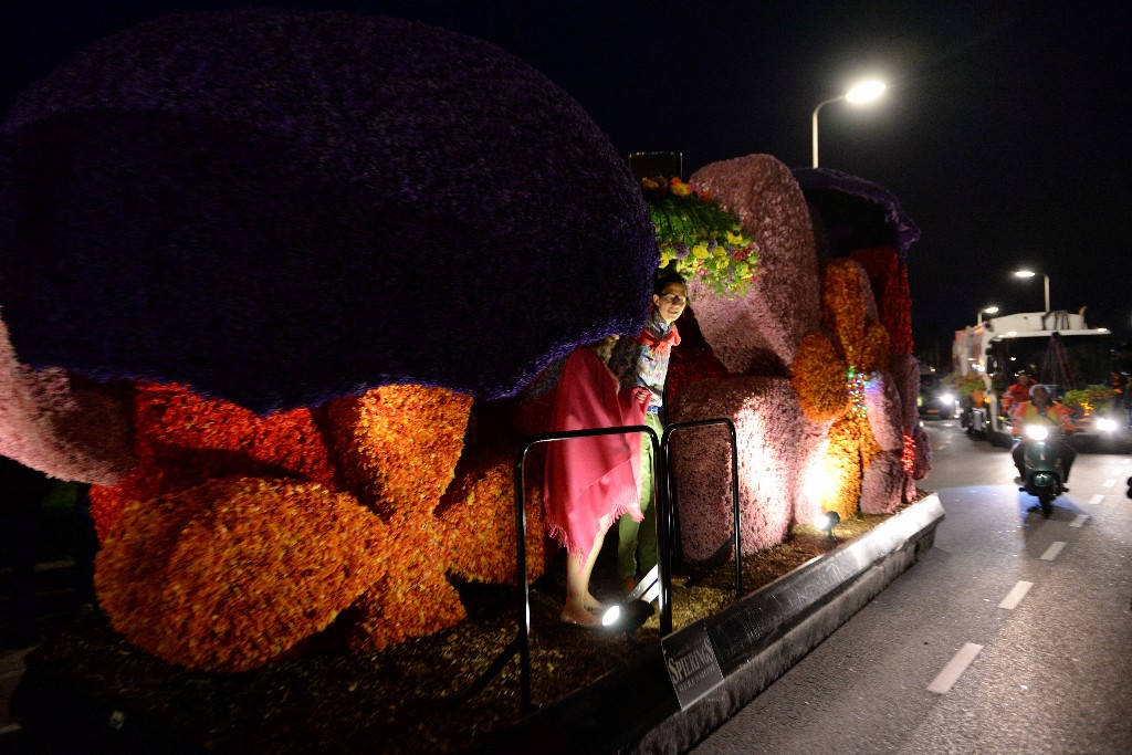 ../Images/Bloemencorso Noordwijkerhout 326.jpg